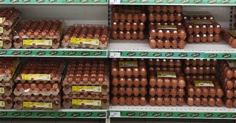 egg japan ppc company|Singapore’s 4th egg farm, backed by Japan’s top egg .
